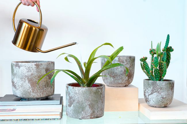 Indoor Plant Pots